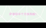 萨摩耶半个月换狗粮
