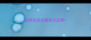拉布拉多拉屎多少正常