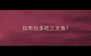 拉布拉多吃三文鱼