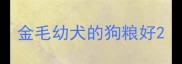 金毛幼犬的狗粮好