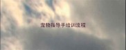宠物指导手培训流程