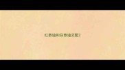 红泰迪和灰泰迪交配