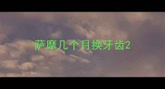 萨摩几个月换牙齿