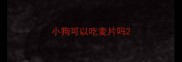 小狗可以吃麦片吗