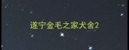 遂宁金毛之家犬舍