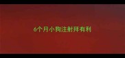 6个月小狗注射拜有利