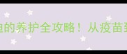 三个月大泰迪的养护全攻略从疫苗到训练必看干货