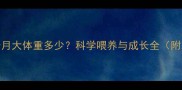 边境牧羊犬2个月大体重多少科学喂养与成长全附发育标准表
