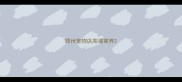 郑州宠物店高端寄养