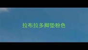 拉布拉多脚垫粉色