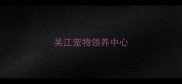吴江宠物领养中心