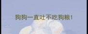 狗狗一直吐不吃狗粮