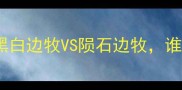 边牧价格大黑白边牧VS陨石边牧谁更值得入手