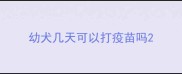 幼犬几天可以打疫苗吗
