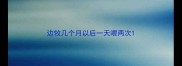 边牧几个月以后一天喂两次