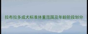 拉布拉多成犬标准体重范围及年龄阶段划分