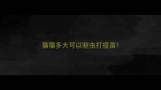 猫猫多大可以驱虫打疫苗