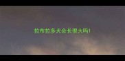 拉布拉多犬会长很大吗