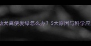 哈士奇幼犬粪便发绿怎么办5大原因与科学应对指南