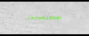 三年大的哈士奇咳嗽