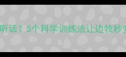边境牧羊犬不听话5个科学训练法让边牧秒变乖巧聪明犬