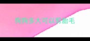 狗狗多大可以剪胎毛