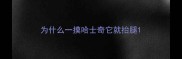 为什么一摸哈士奇它就抬腿