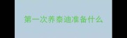 第一次养泰迪准备什么