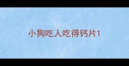 小狗吃人吃得钙片