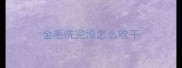 金毛洗完澡怎么吹干