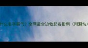 边牧什么名字霸气全网最全边牧起名指南附避坑攻略