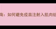 犬类疫苗接种全指南如何避免疫苗注射入肌肉组织及科学护理要点