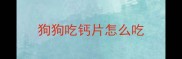 狗狗吃钙片怎么吃