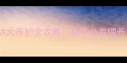 30天拉布拉多幼犬养护全攻略新手必看喂养训练避坑指南