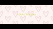 小狗摔了站不起来