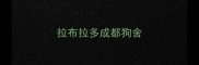 拉布拉多成都狗舍