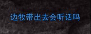边牧带出去会听话吗
