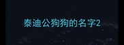 泰迪公狗狗的名字