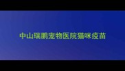 中山瑞鹏宠物医院猫咪疫苗