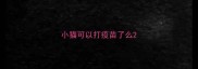 小猫可以打疫苗了么