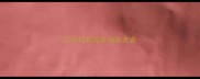 辽宁拉布拉多知名犬舍