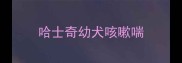 哈士奇幼犬咳嗽喘
