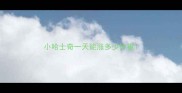 小哈士奇一天能涨多少体重