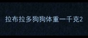 拉布拉多狗狗体重一千克