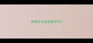 狗狗什么疫苗都不打