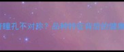哈士奇瞳孔不对称品种特征背后的健康密码