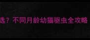 幼猫驱虫药怎么选不同月龄幼猫驱虫全攻略附用药指南
