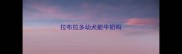 拉布拉多幼犬能牛奶吗