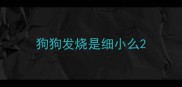 狗狗发烧是细小么