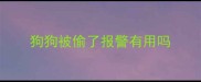 狗狗被偷了报警有用吗